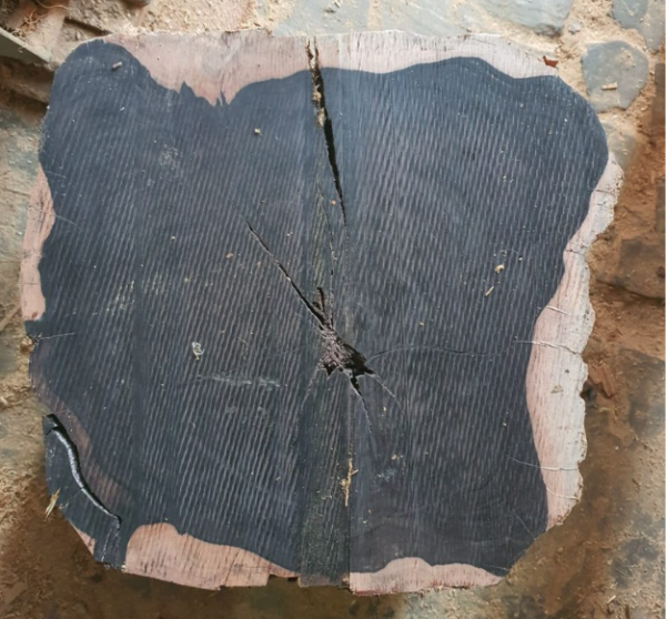 Genuine Karungali Kattai (Ebony) Stick in various sizes | Imported from India | EMF Protection| Ward Off Negativity - Image 8